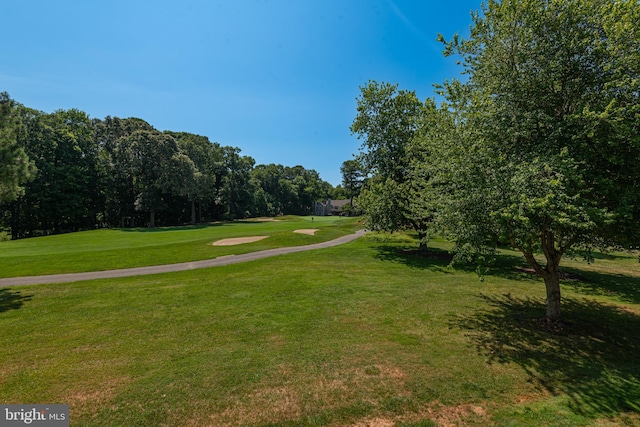 view of property's community with a lawn