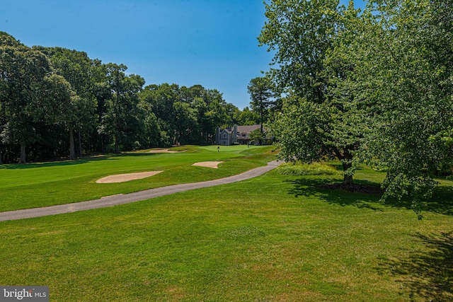 view of community featuring a yard