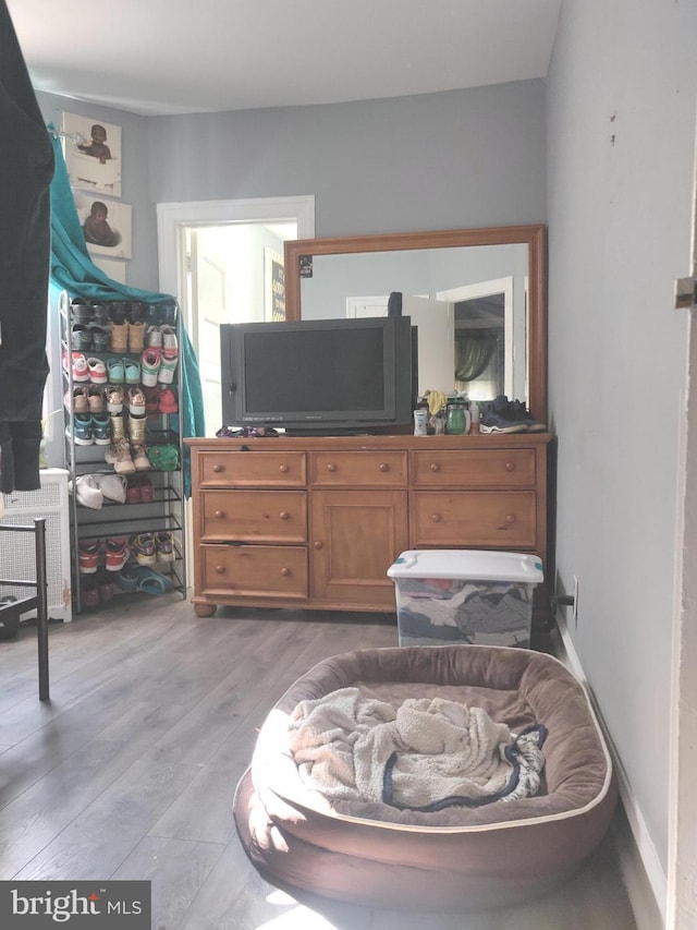 bedroom featuring hardwood / wood-style floors