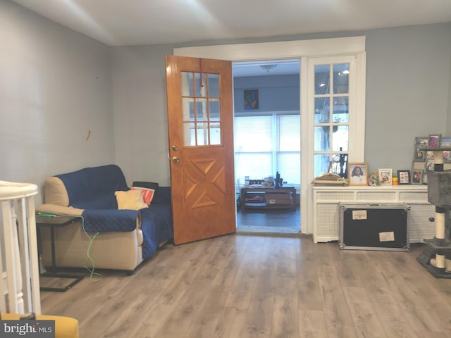 entrance foyer with wood-type flooring