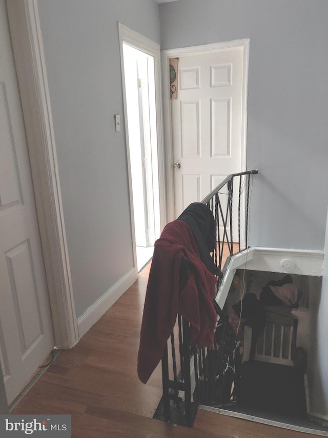 stairs featuring wood-type flooring