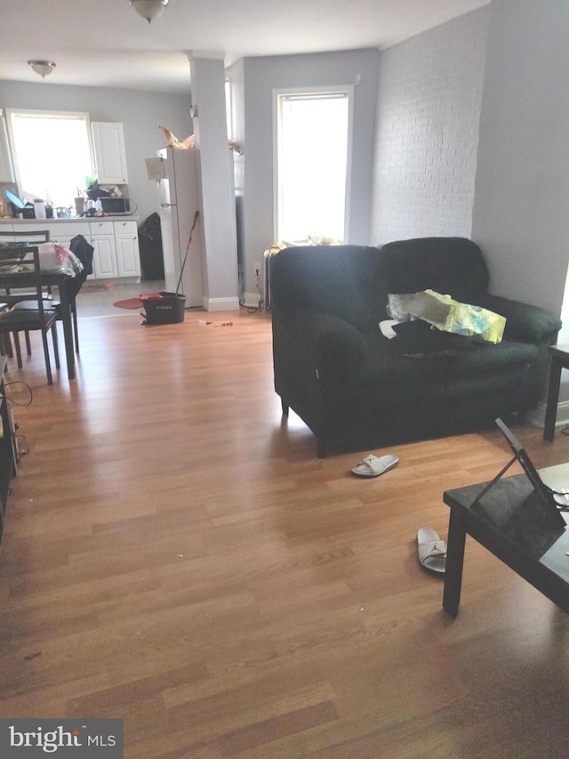 living room featuring light hardwood / wood-style flooring and a wealth of natural light