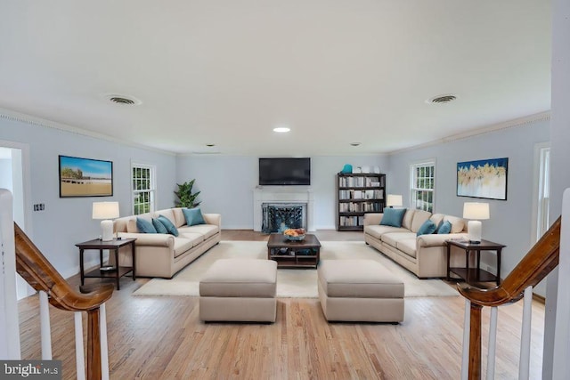 living room with light wood-type flooring, a wealth of natural light, and crown molding