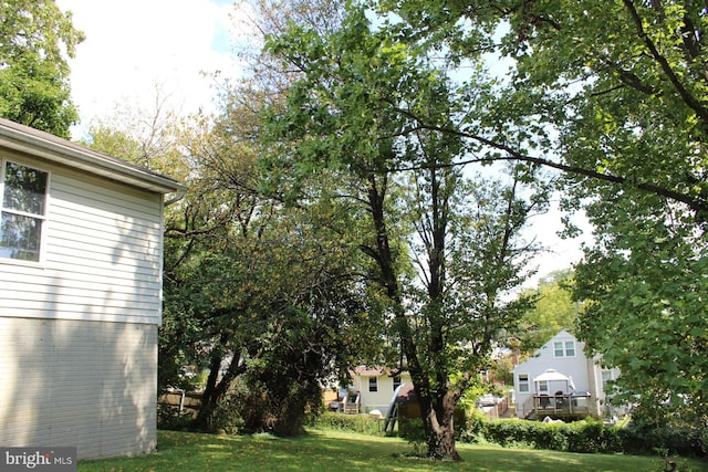 view of yard featuring a wooden deck