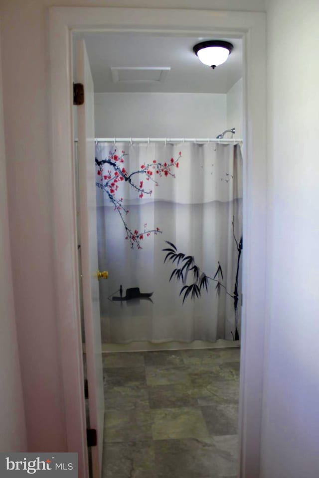 bathroom featuring a shower with shower curtain