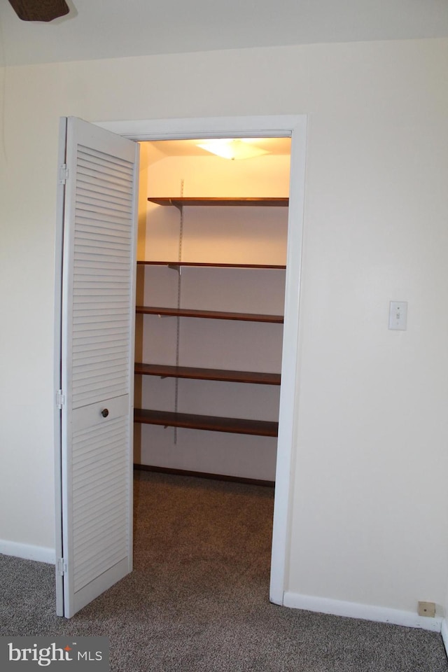 view of closet