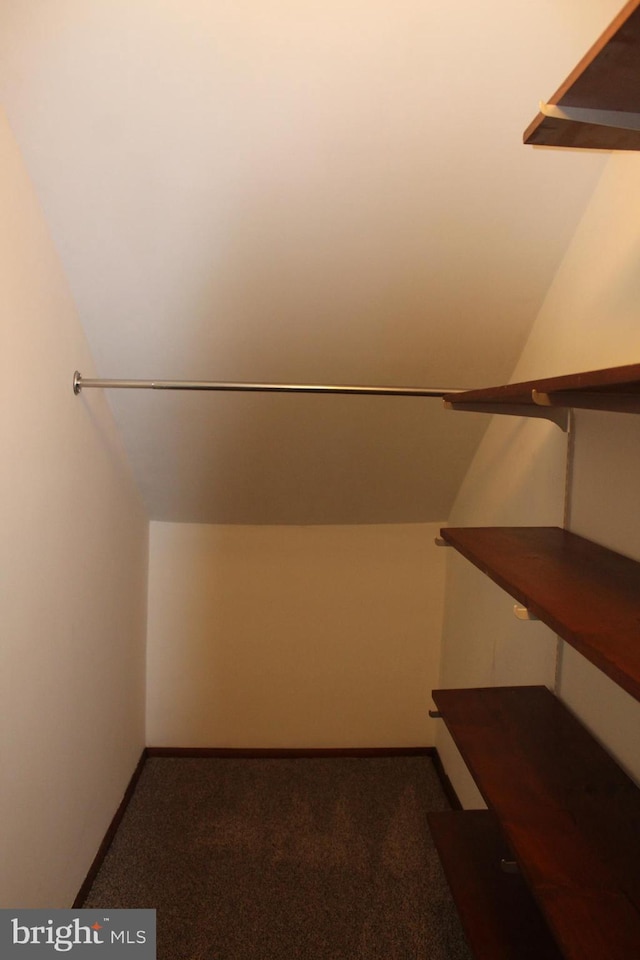 walk in closet with carpet