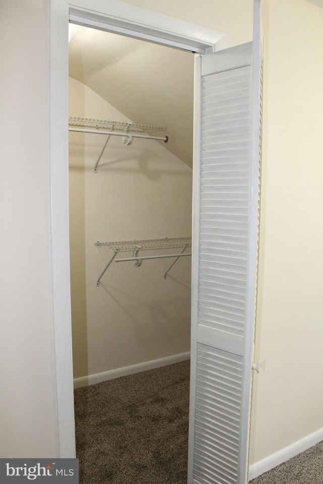 walk in closet with carpet