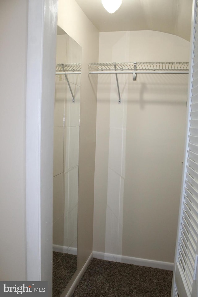 spacious closet featuring carpet floors