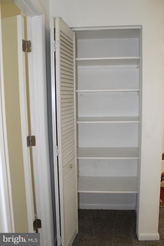 view of closet