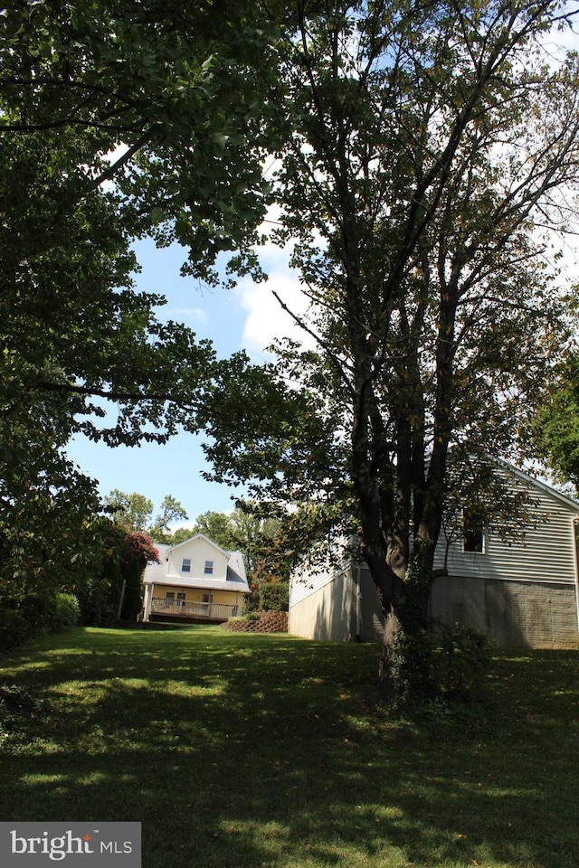 view of yard