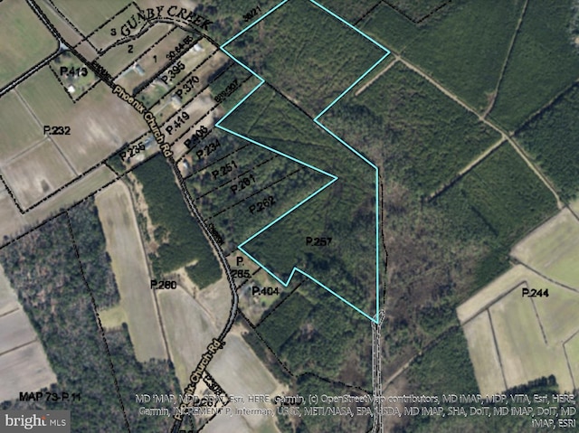 0 Phoenix Church, Marion Station MD, 21838 land for sale