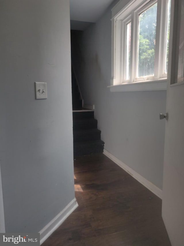 stairs featuring hardwood / wood-style flooring