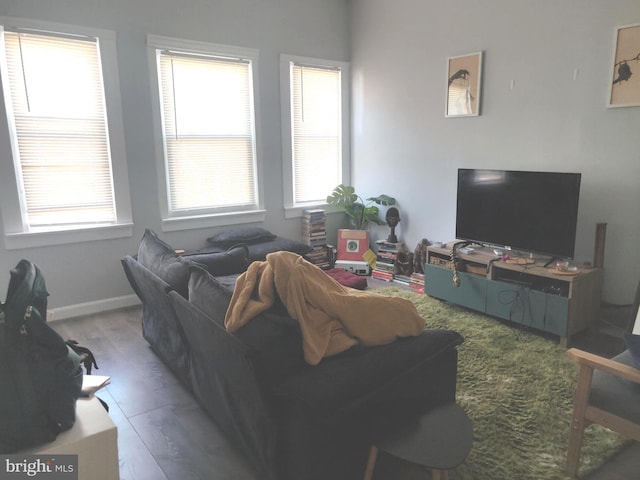 living room with hardwood / wood-style flooring