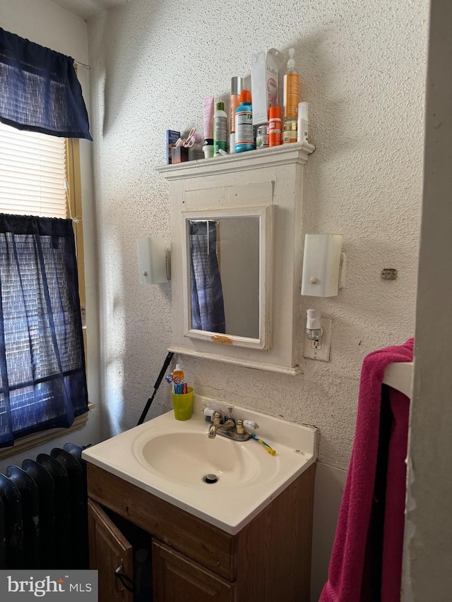 1717 W 4th St, Wilmington, DE 19805 - bathroom with a textured wall and vanity