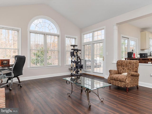 living area with vaulted ceiling and dark hardwood / wood-style floors