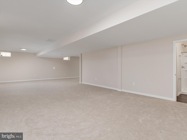 basement featuring carpet