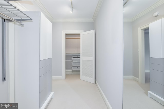 walk in closet featuring light colored carpet