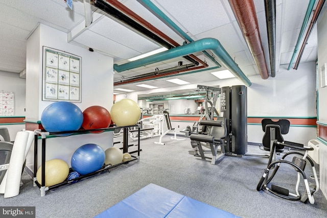 exercise room featuring carpet floors