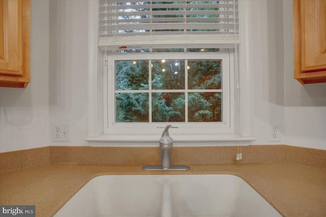 interior details featuring sink and light brown cabinetry