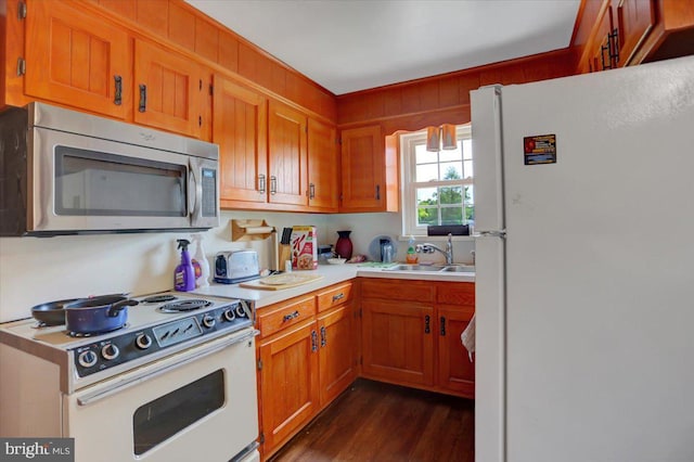 kitchen featuring white appliances, dark hardwood / wood-style floors, and sink