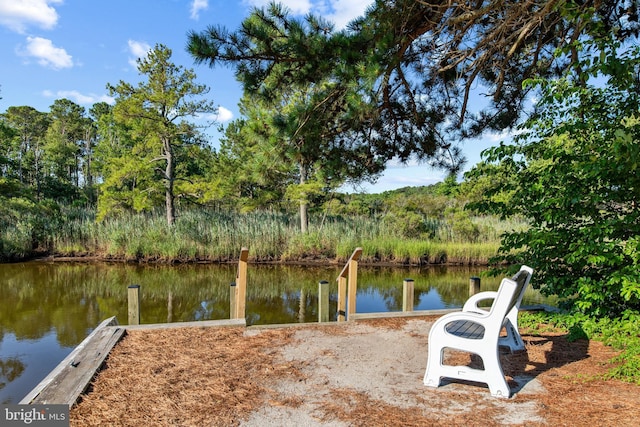 dock area featuring a water view