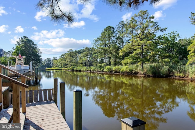 dock area with a water view