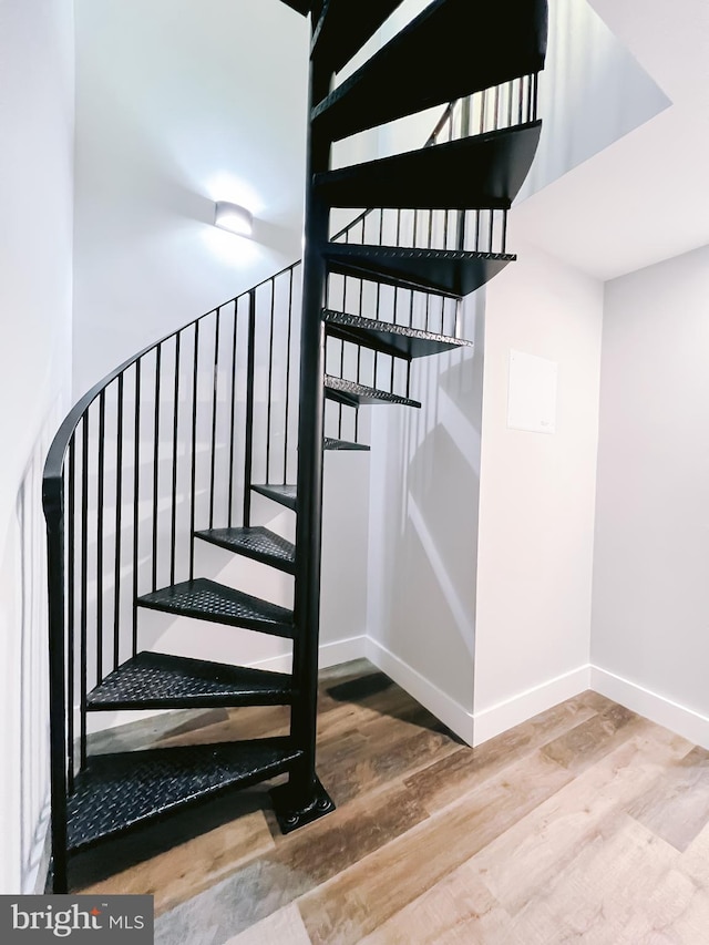 stairs with wood-type flooring