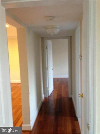 hallway with dark hardwood / wood-style flooring