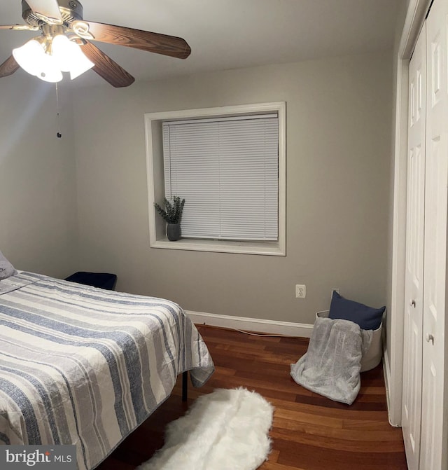 bedroom featuring ceiling fan, dark hardwood / wood-style flooring, and a closet