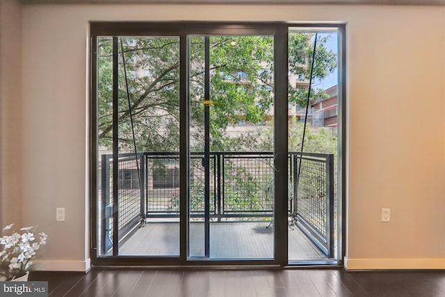 entryway featuring dark wood-type flooring