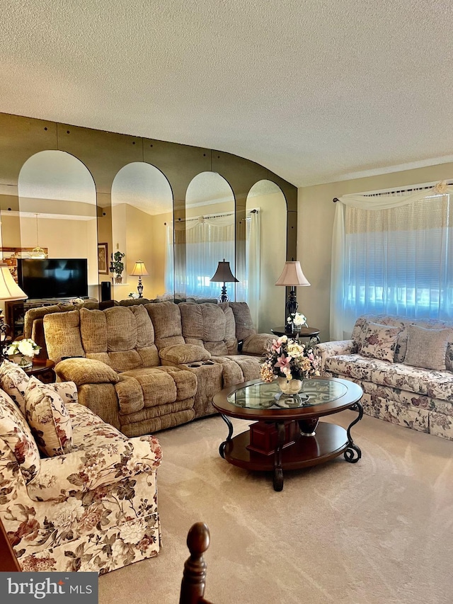 living room featuring carpet floors and a textured ceiling