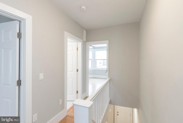 hall featuring light hardwood / wood-style floors