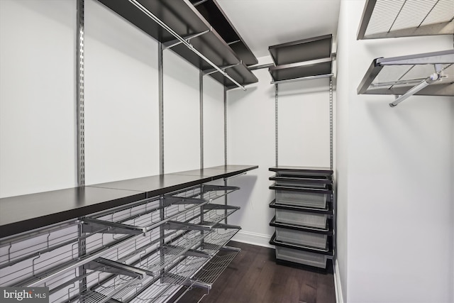 walk in closet featuring dark hardwood / wood-style flooring