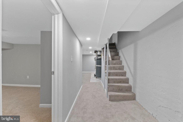 staircase featuring carpet floors