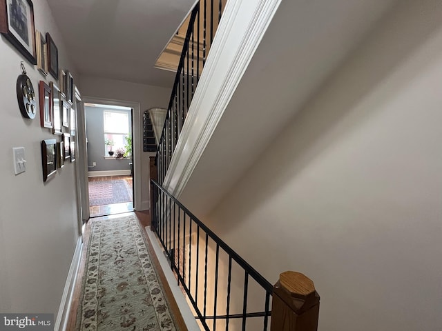 hallway featuring hardwood / wood-style floors