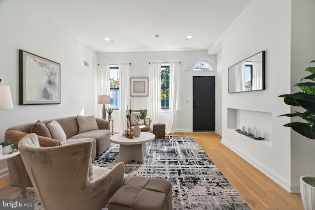 living room featuring light hardwood / wood-style flooring