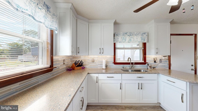 kitchen featuring backsplash, white cabinetry, and sink