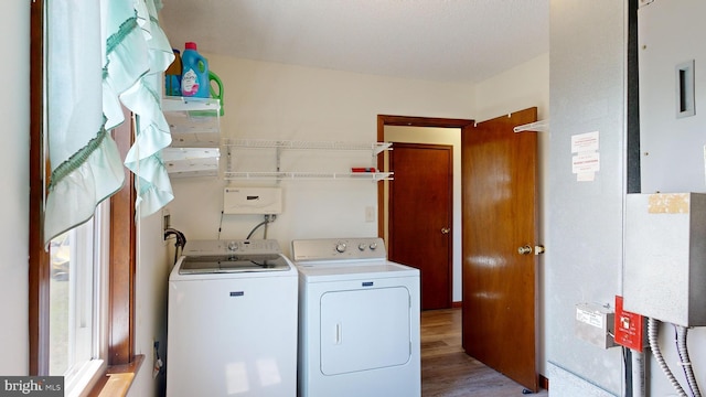 laundry area featuring washing machine and dryer and wood-type flooring