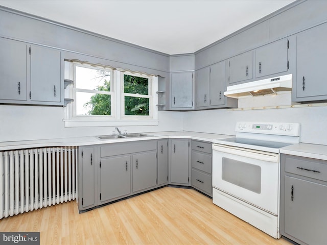 kitchen featuring radiator, white electric stove, gray cabinetry, sink, and light hardwood / wood-style flooring