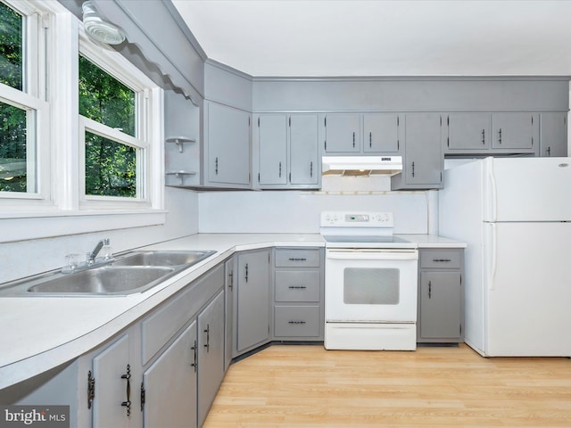 kitchen with light wood-type flooring, gray cabinetry, sink, and white appliances