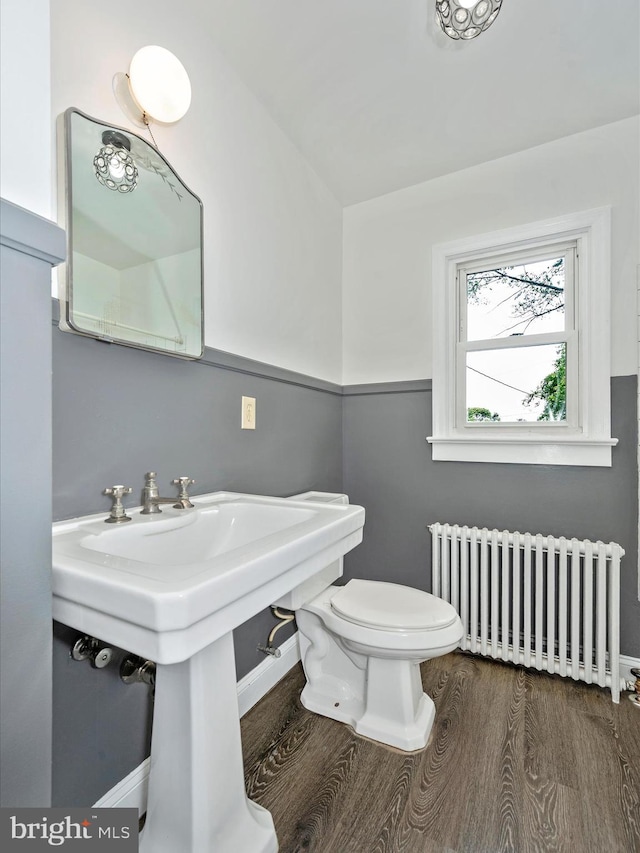 bathroom with toilet, wood-type flooring, and radiator heating unit