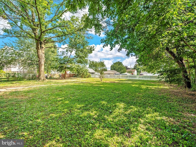 view of yard