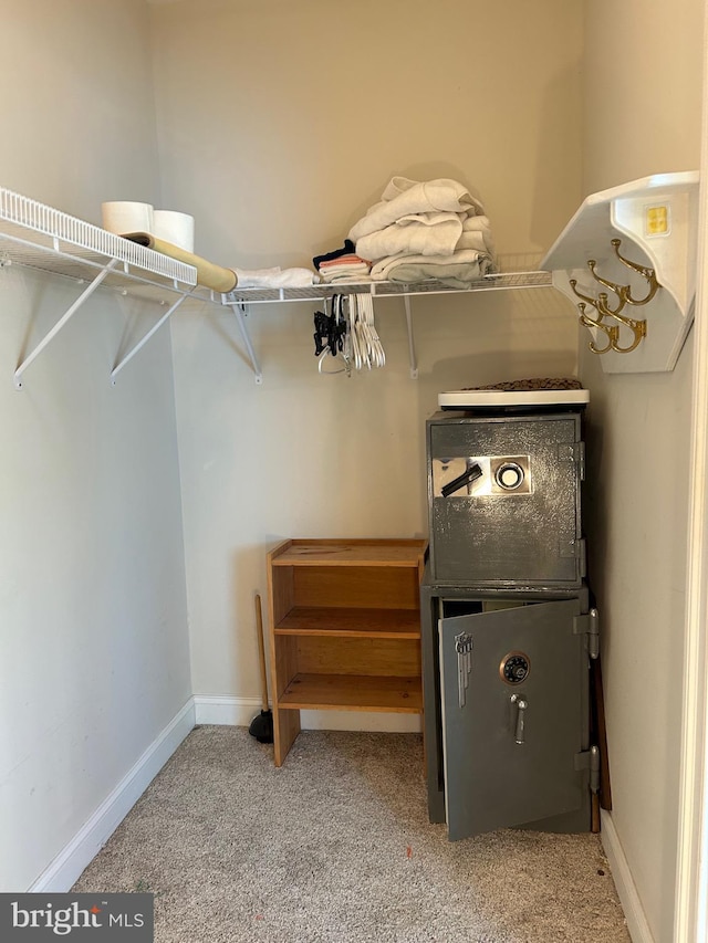 spacious closet featuring light colored carpet