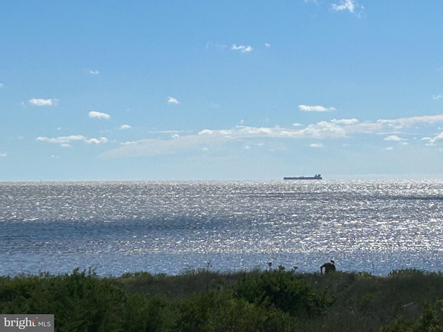 view of water feature