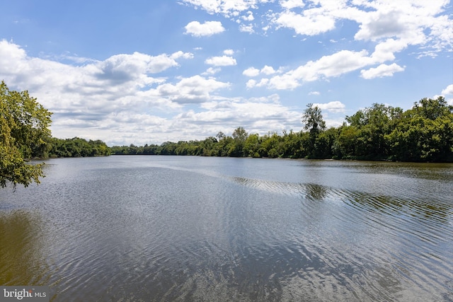 property view of water