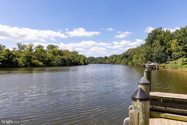 dock area featuring a water view