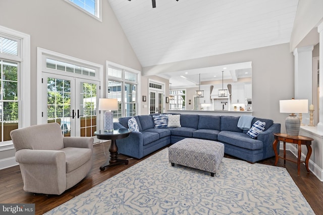 living room with dark hardwood / wood-style flooring, french doors, a healthy amount of sunlight, and a high ceiling