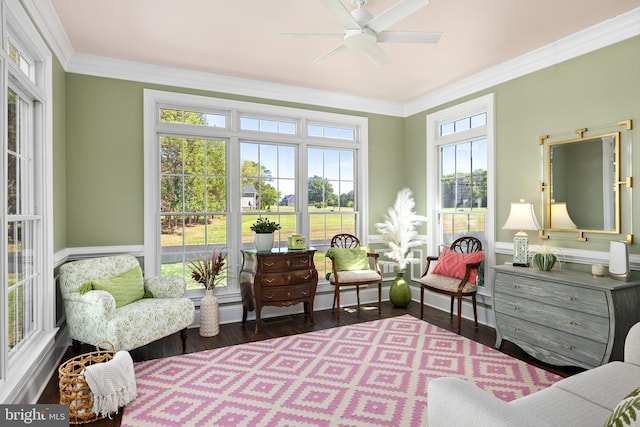 sunroom with ceiling fan