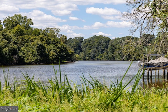 property view of water